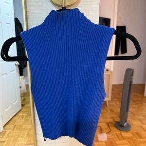 Blue Ribbed Knit Turtleneck Top